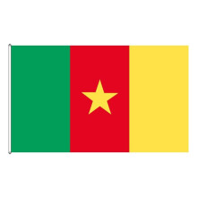 Cameroon flag green design