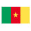 Cameroon flag green design 1