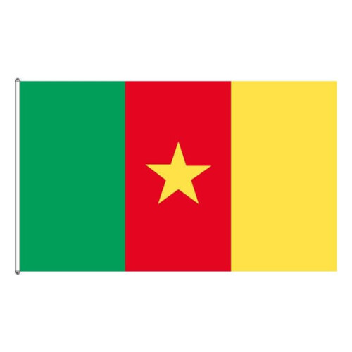 Cameroon flag green design