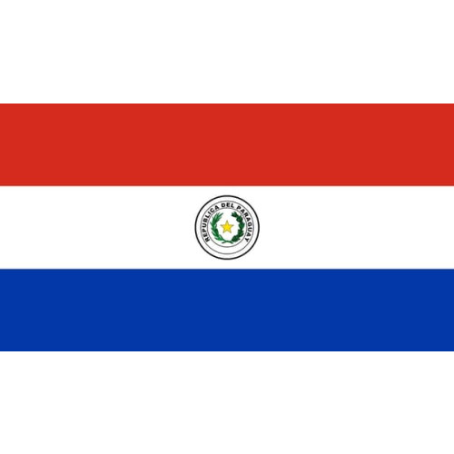 Paraguayan flag national flag 1 piece