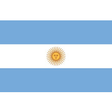 Argentina flag decorative 1 piece