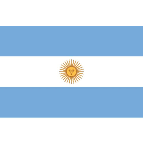 Argentina flag decorative 1 piece
