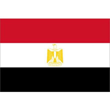 Egypt flag white background single
