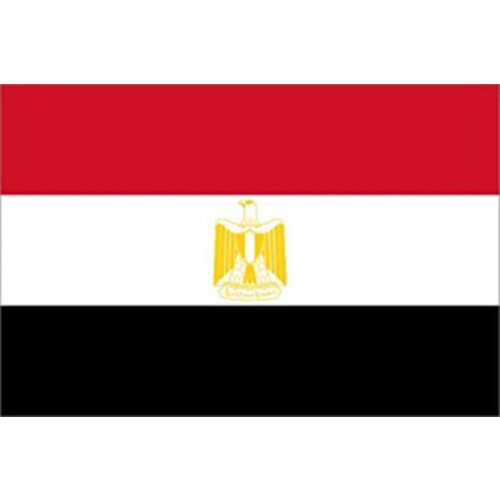 Egypt flag white background single
