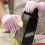 Cut Resistant Gloves Level 5 for Kitchen Meat Cutting 5