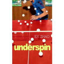 Underspin by E Y Zhao Hardcover Book