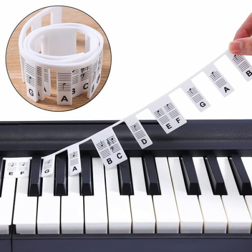 Piano Keyboard Labels Removable 61-Key Multicolor
