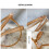 Gloiní Myopia Neart Prionta Leopard -1.50 4