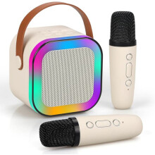 Mini karaoke machine portable Bluetooth speaker with 2