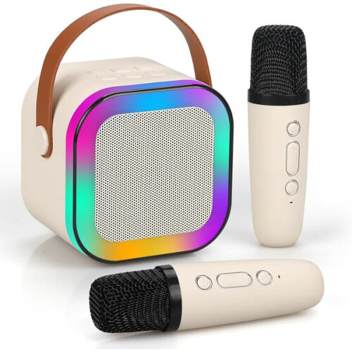 Mini karaoke machine portable Bluetooth speaker with 2