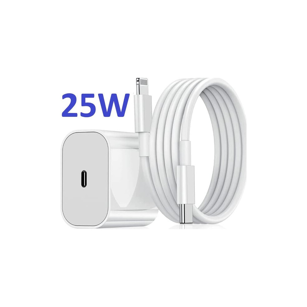 25W Sn Road Charger With 2-Meter Cable 900223970152