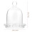 Cabilock Glass Cloche Dome Small Bell Jar 5