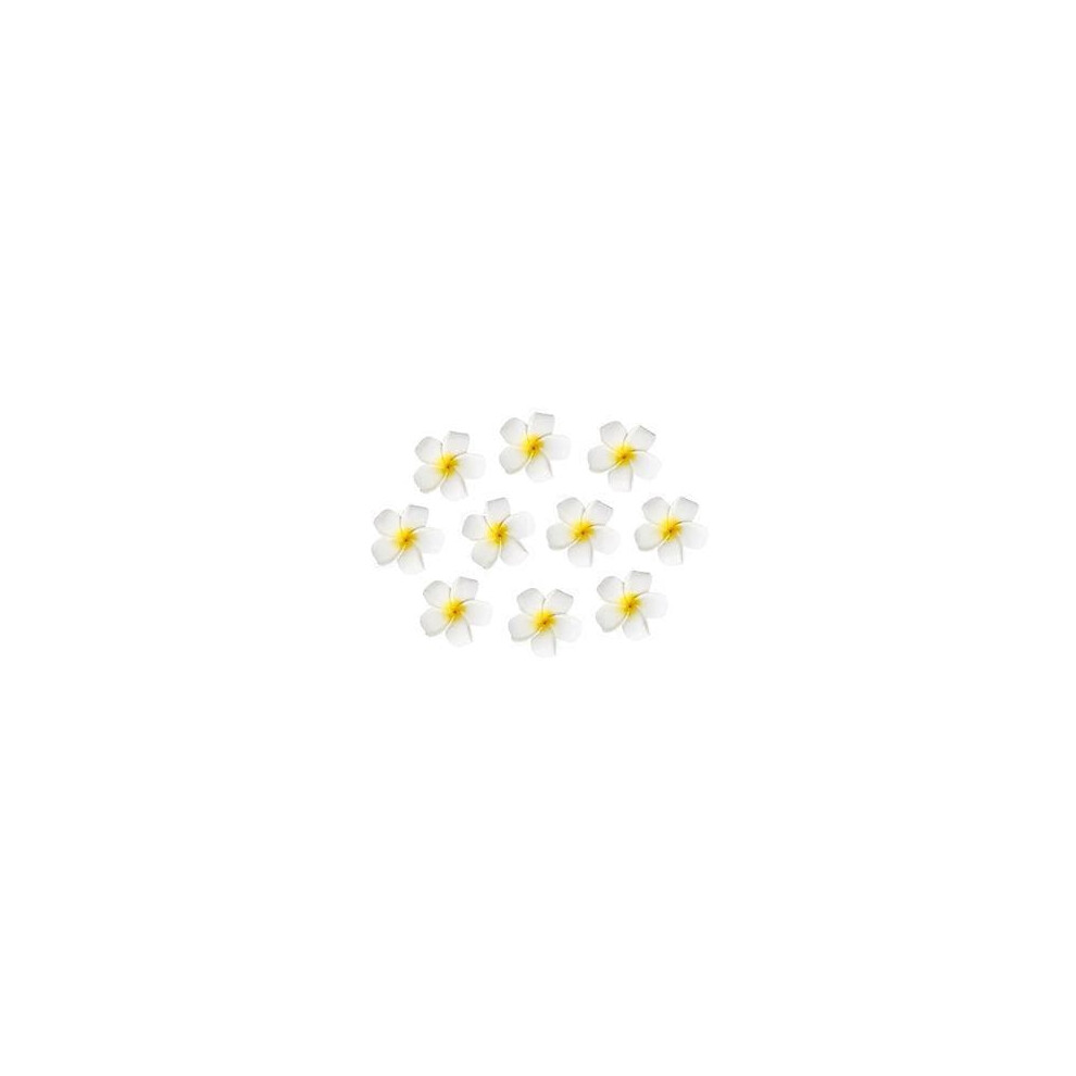 Frcolor Hawaiian Flower Hair Clip 10 Pcs White/Yellow 900223968456