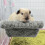 Small Pet Cage Double Layer Gray 7.9x3.9 Inch 4