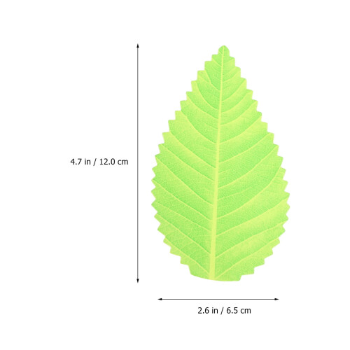 Sottobicchieri con foglie artificiali di Monstera, verdi, 200 pezzi 1