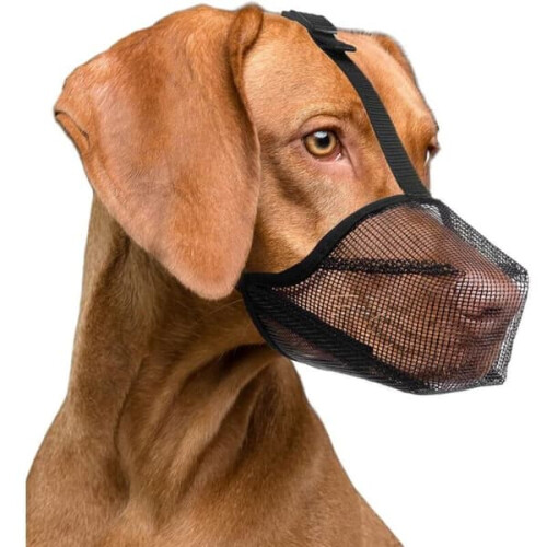 Åndbar hundemundkurv sort L1 stk.
