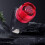 VALSEEL Bicycle Headlight and Tail Light Set 6