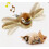 Interactive Flying Bird Cat Toy with Fluttering Wings 1