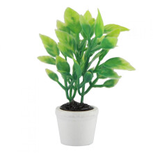 Samhail Phlanda Glas Delaman, Planda Glas Bonsai Mini Saorga le Pota, Maisiúcháin Gairdín Bréige, Gabhálais Baile