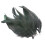 Black Chicken Feathers for Crafts 50 Pieces 8
