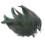Black Chicken Feathers for Crafts 50 Pieces 6