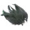 Black Chicken Feathers for Crafts 50 Pieces 7