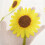 Boho sunflower embroidered voile kitchen valance one panel 6