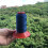 Nylon sewing thread bonded 2-ply 500 yards 5