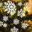 Christmas Tree Decorations White Snowflake Ornaments 12 pcs 1