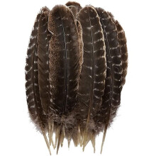 Turkey Feathers Natural 17 pcs 10-12 inch