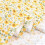 Cotton Fat Quarter Fabric Bundle Green 25x25cm 4