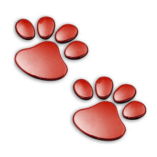 Dog paw car decoration stickers 3D red
