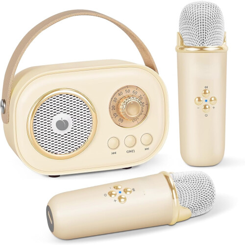 Mini Karaoke Machine Portable Bluetooth Speaker with 2
