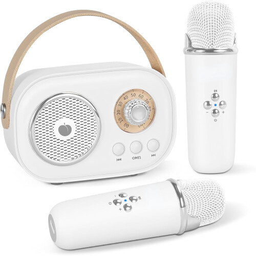Mini Karaoke Machine Portable Bluetooth Speaker with 2