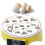 Automatic poultry egg incubator with temperature control 2