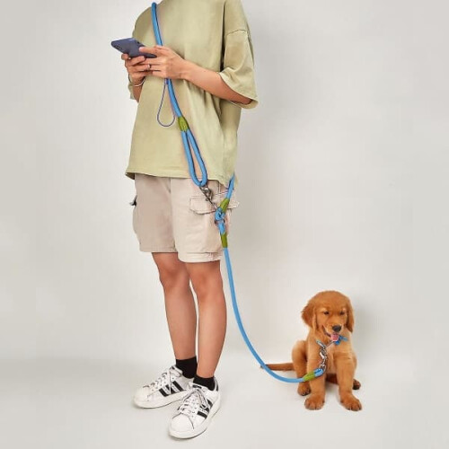 Dog Leash Harness Hands-Free Walking Lead