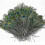 Peacock Feathers Natural 25-30 cm 100 pcs 1
