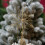 Étoile lumineuse creuse 3D pour sapin de Noël 4