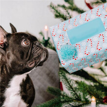 2X Französische Bulldogge-Eiswürfelform, 4 Löcher, Lustige Formen, Frenchie Bull Dog-Eiswürfelform für Whiskey, Cocktail, Bourbon-Grau