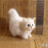 Simulation Cat Plush Toy Soft Stuffed Kitten Model One Size 1