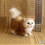 Simulation Cat Plush Toy Soft Stuffed Kitten Model One Size 1