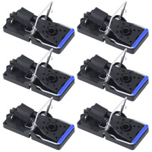 Mouse Trap Indoor Blue 6-Pack