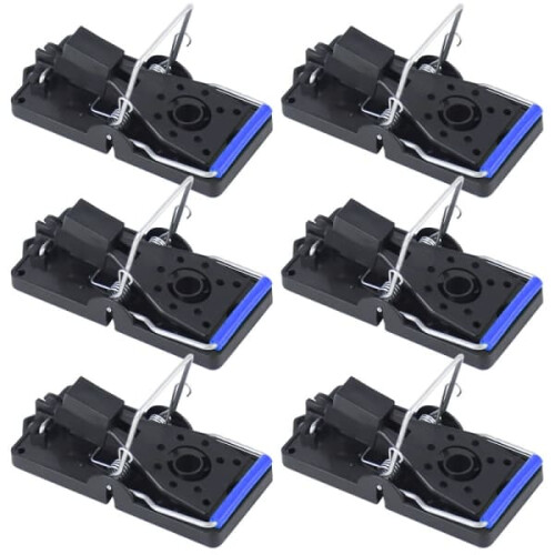 Mouse Trap Indoor Blue 6-Pack