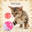 Multicolor Hollow Bell Ball Plastic Pet Toy 4