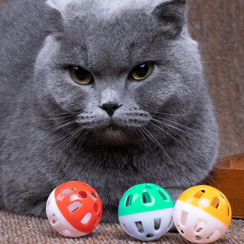 Multicolor Hollow Bell Ball Plastic Pet Toy 1