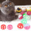 Multicolor Hollow Bell Ball Plastic Pet Toy 3
