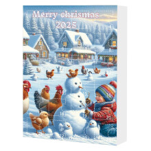 Christmas Countdown Calendar Acrylic Decoration 25 Days