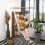 Poltrona sospesa (dondolo amaca) - SPRINGOS - Springos - 130 x 100 cm - Beige - Frange e 2 cuscini 4