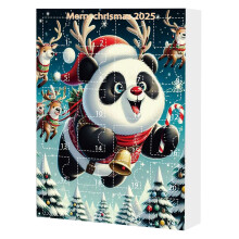 Christmas Countdown Calendar Acrylic Decoration 25 Days