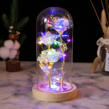 LOOPSUN Valentinsdag-udsalg 2024! Valentinsdag-gave LED-natlampe med 3 bladguldblomster i glasskærme.